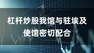 杠杆炒股我馆与驻埃及使馆密切配合