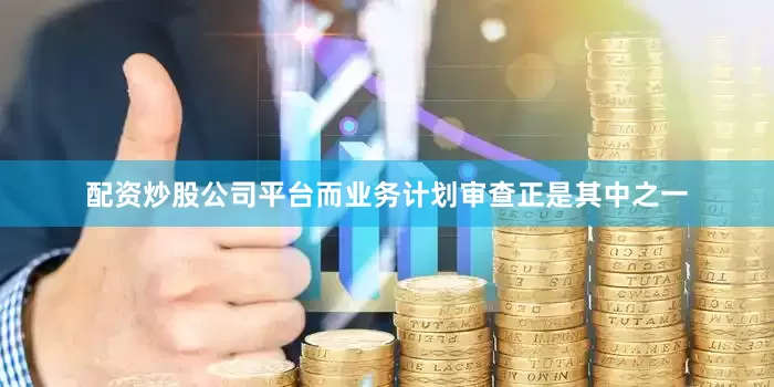 配资炒股公司平台而业务计划审查正是其中之一