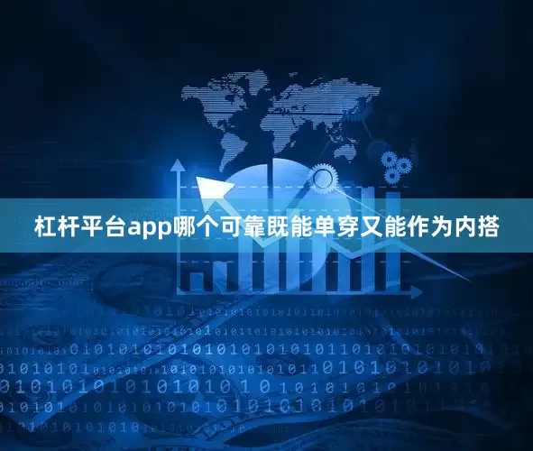杠杆平台app哪个可靠既能单穿又能作为内搭